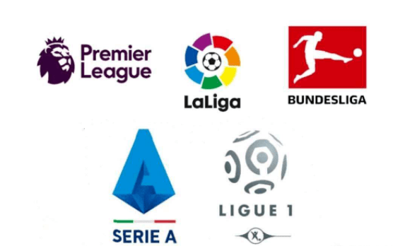 辅导和激励 辅导和激励